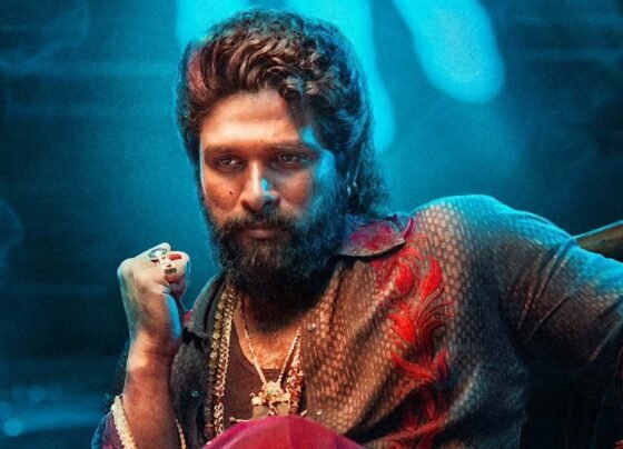 Makers Made Master Plan For 'Pushpa 3'