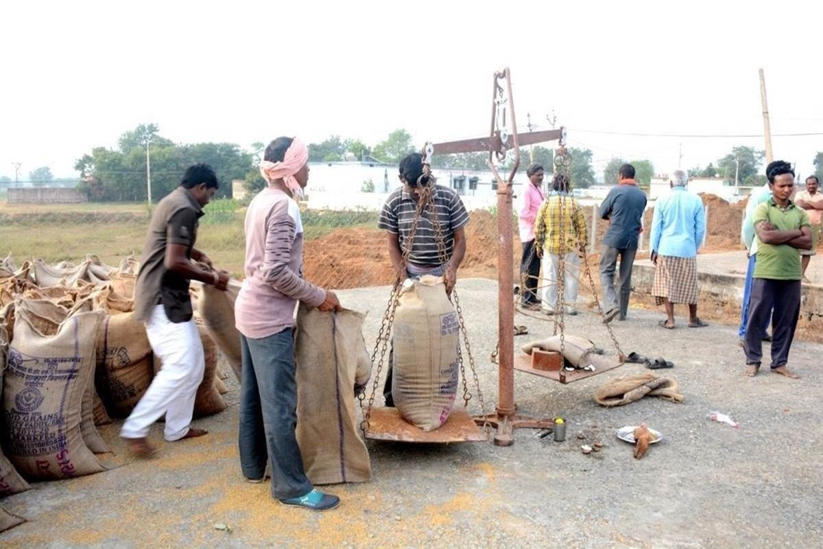 छत्तीसगढ़ में आज धान खरीदी का आखिरी दिन, 147 लाख मिट्रिक टन धान किसानों ने बेची, लक्ष्य से पीछे