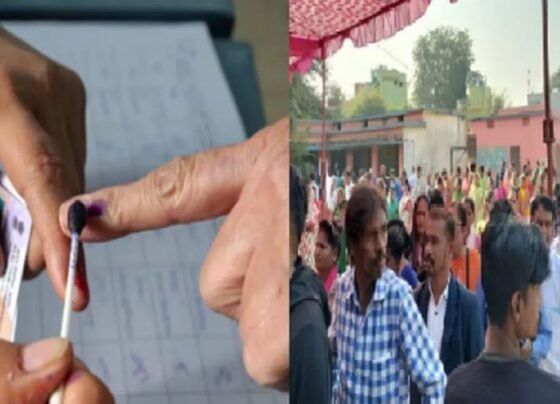 CG Nikay Chunav 2025 Voting Percentage