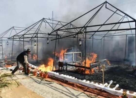 Maha Kumbh Fire News