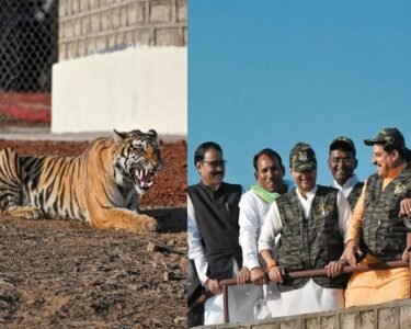 Inaugurated Madhav Tiger Reserve