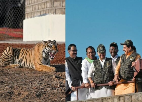 Inaugurated Madhav Tiger Reserve
