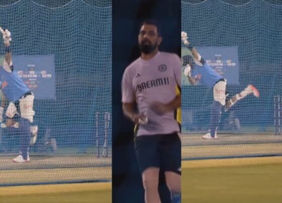 Mohammed Shami Clean Bowled Virat Kohli