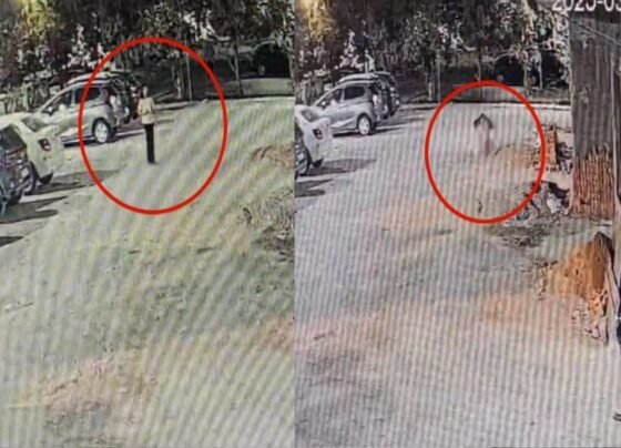 VIDEO of Girl Falling From 11th Floor in Raipur