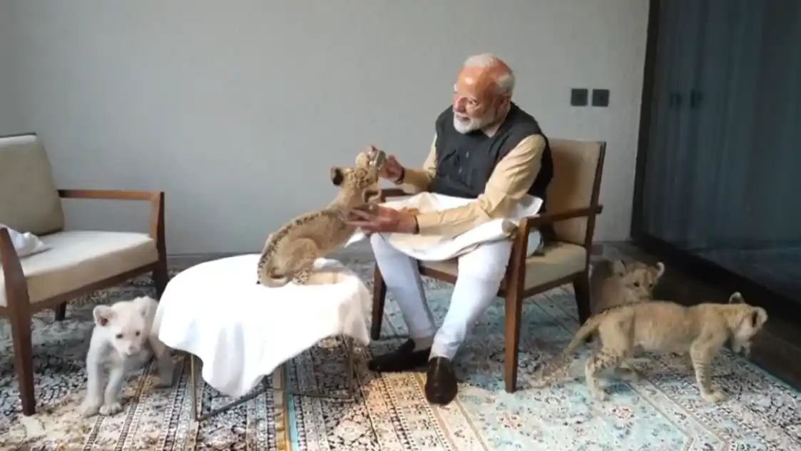 शेर के शावक को दुलारते दिखे PM मोदी, अनंत अंबानी ने खुद कराई वनतारा की विजिट, Video