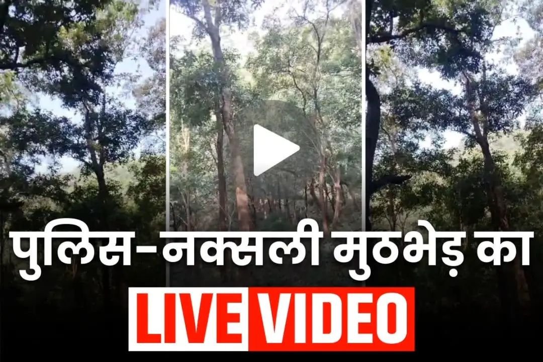 Kanker Naxal Encounter: कांकेर में पुलिस-नक्सली मुठभेड़ का लाइव वीडियो आया सामने, माओवादियों को घेरते दिख रहे जवान, दोनों ओर से हो रही फायरिंग