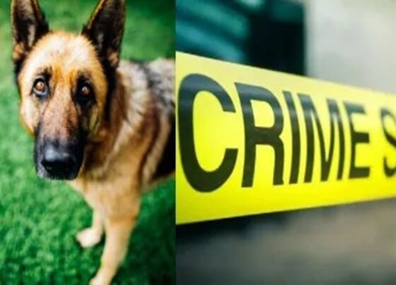 Chhattisgarh Crime News