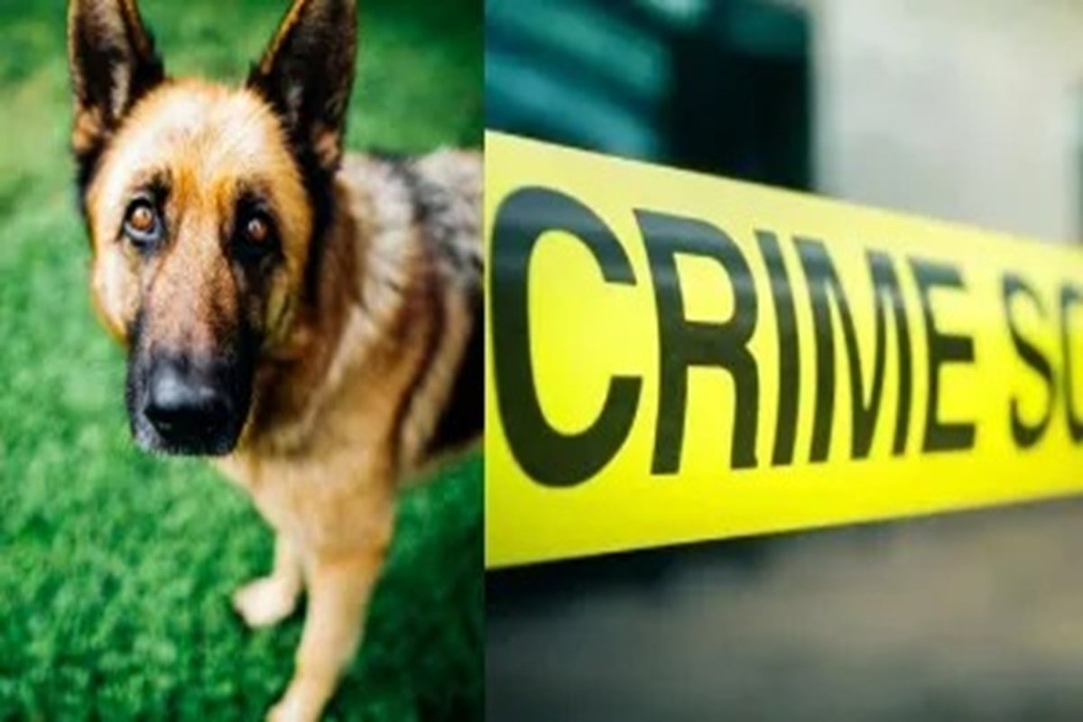 CG Crime News : कुत्ते के लिए युवक ने अपनी मां को उतारा मौत के घाट, हमले में पत्नी भी घायल