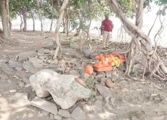 Thousand years old remains found in Raipur