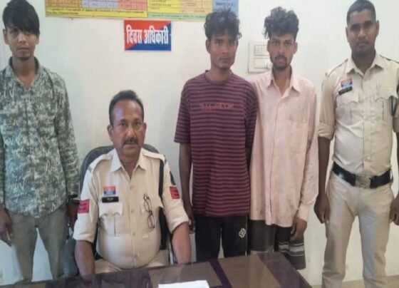 bilaspur theft news today