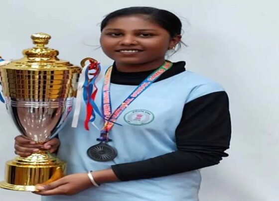 national school sports baseball