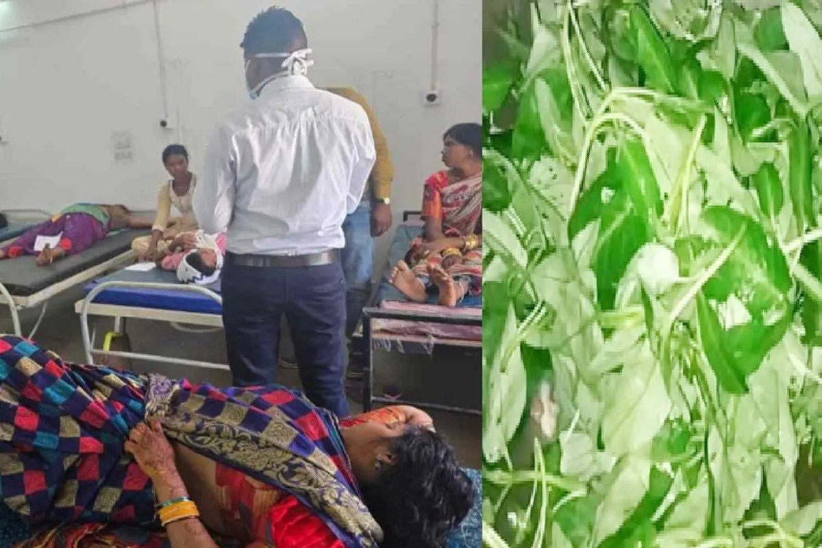Chhattisgarh News: शादी समारोह में करमत्ता भाजी खाने से बिगड़ी तबियत, 15 लोग हुए बीमार