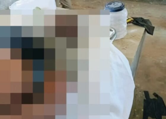 BJP MLA Shakuntala Singh Porte brother-in-law dies after tractor overturns