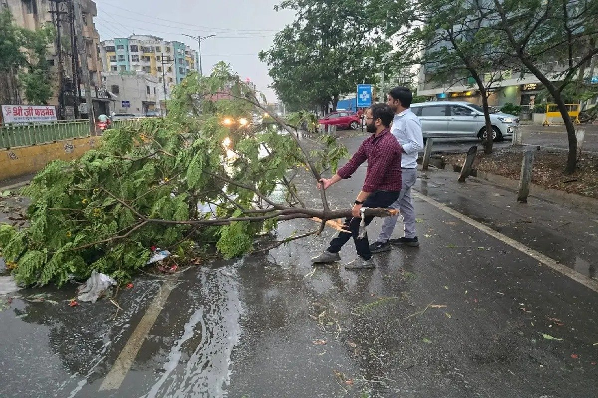CG News: आंधी तूफान ने मचाई तबाही, राजनांदगांव में गिरे 110 पोल, लोगों की बढ़ी पेरशानी