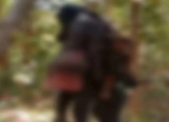 Dhamtari Suicide Case