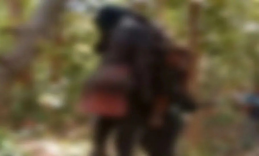 धमतरी में फांसी के फंदे पर लटकी मिली प्रेमी जोड़े की लाश: एक सप्ताह पुराना बताया जा रहा है शव, पुलिस कर रही जांच