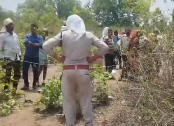 Elephant Attack in Shahdol MP