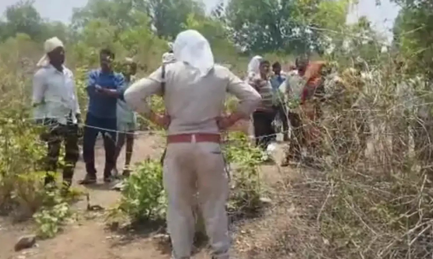 तेंदूपत्ता तोड़ने गए ग्रामीणों पर हाथियों का हमला, 3 की मौत, लोगों में आक्रोश