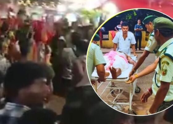 Goa Temple Stamepede