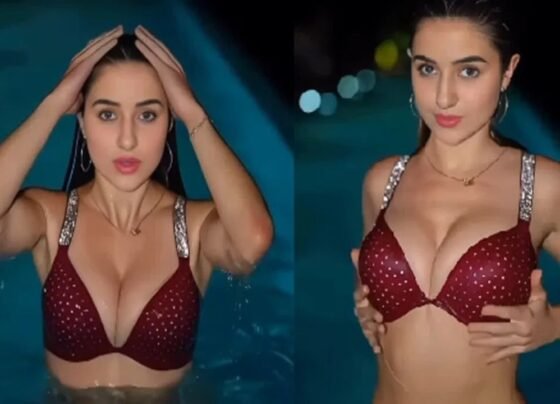 Indian Model Hot Sexy Video