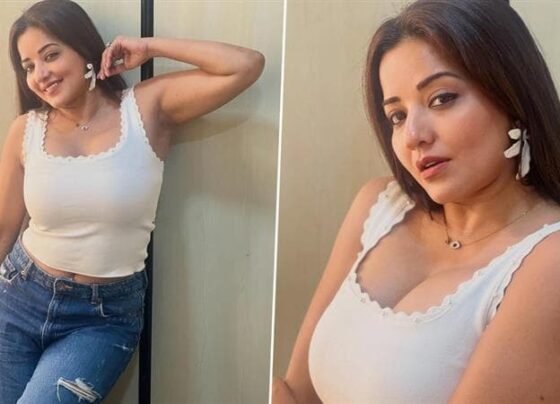 Monalisa Hot Look