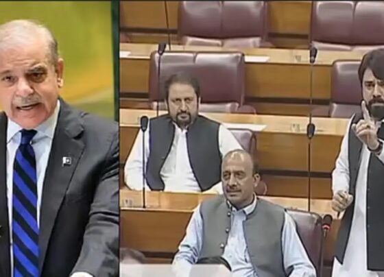 Pakistani MP Slams PM Shehbaz Sharif