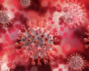 coronavirus update
