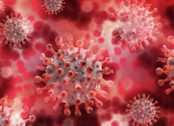 coronavirus update