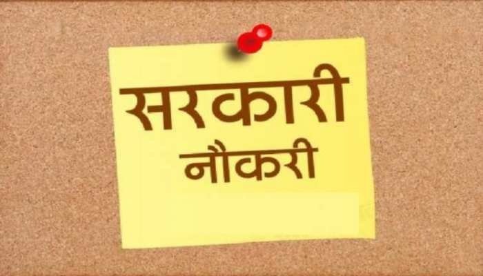 Naib Tehsildar Recruitment 2025: ग्रेजुएट युवाओं के लिए शानदार अवसर, नायब तहसीलदार पदों पर निकली बंपर भर्ती, इस तारीख तक कर सकते हैं आवेदन