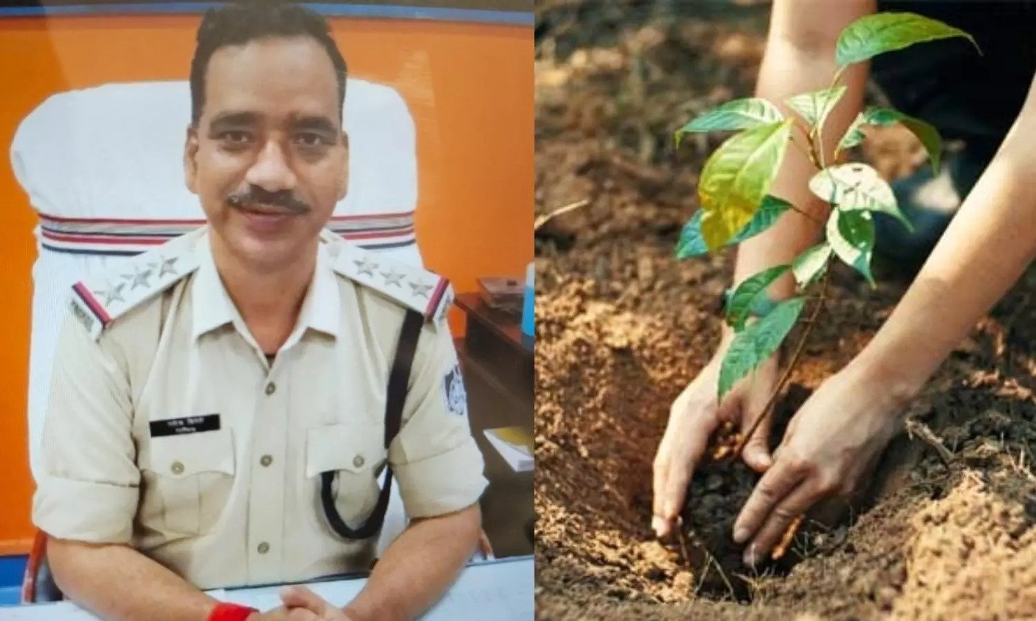 कोतवाली टीआई को मिली अनोखी सजा: एक साल में लगाने होंगे 1000 फलदार पौधे, देखरेख की जिम्मेदारी भी सौंपी…