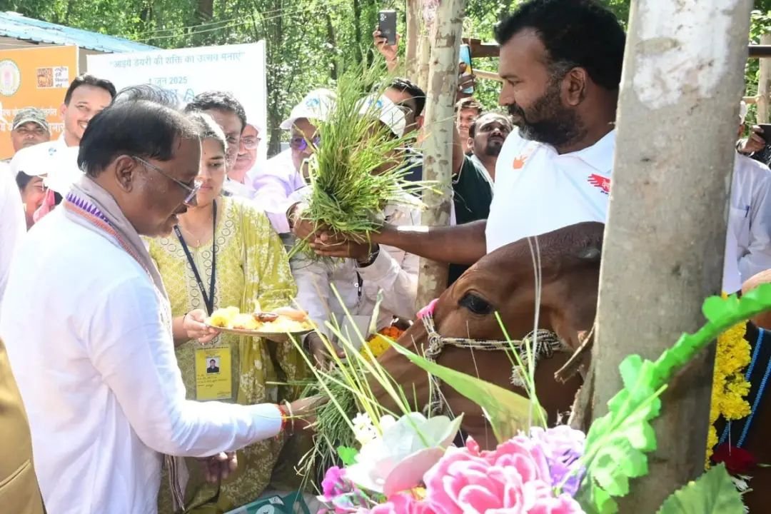 CG News : डेयरी उद्यमिता के क्षेत्र में बड़ा कदम, इन जिलों के आदिवासी परिवारों को दुधारू पशु देगी सरकार, सीएम साय ने किया योजना का शुभारंभ