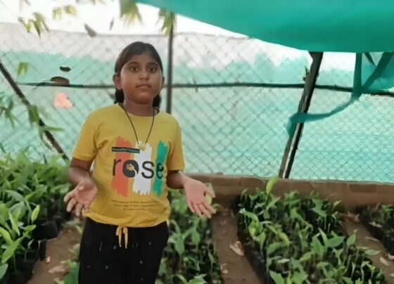 world environment day 2025