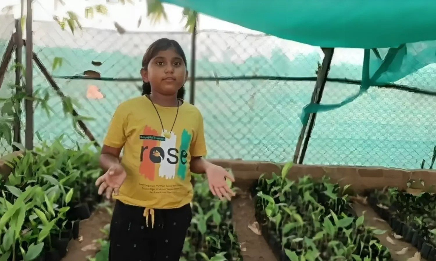 ये हैं पर्यावरण वॉरियर: छोटी उम्र में किया बड़ा कमाल, 5वीं की छात्रा ने गर्मी की छुट्टियों में रोप डाले 2500 पौधे…
