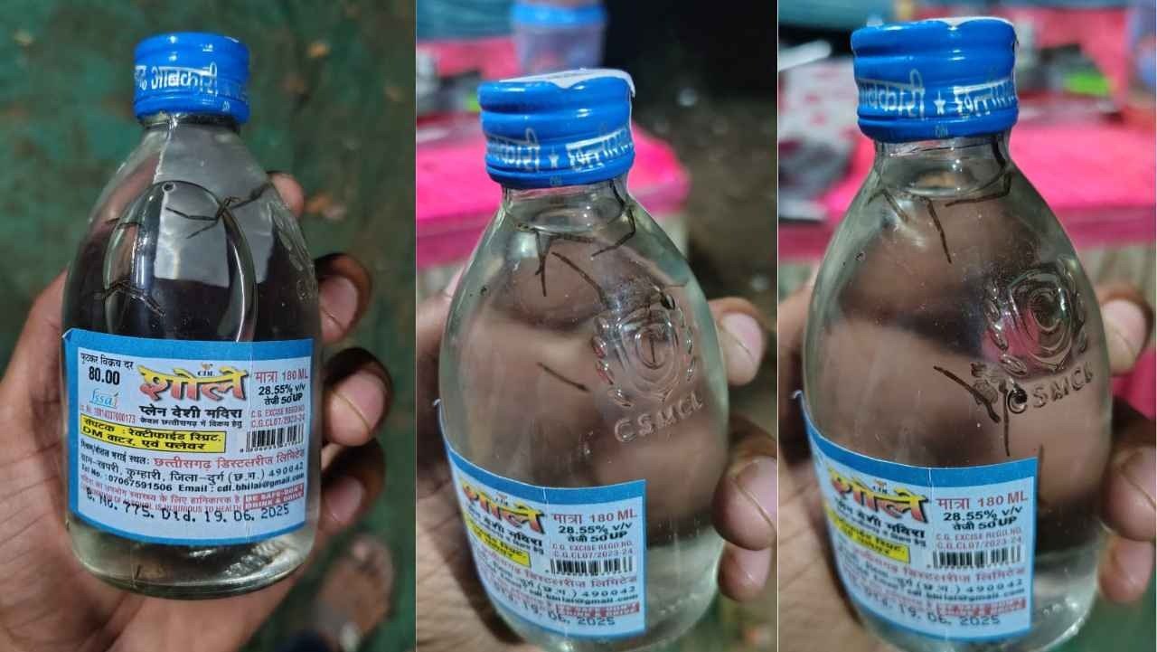 शराब प्रेमियों सावधान! सील पैक शराब की शीशी में निकली मरी हुई मकड़ी, कहीं आप तक तो नहीं पहुंची?