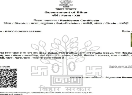 Residence certificate of dog