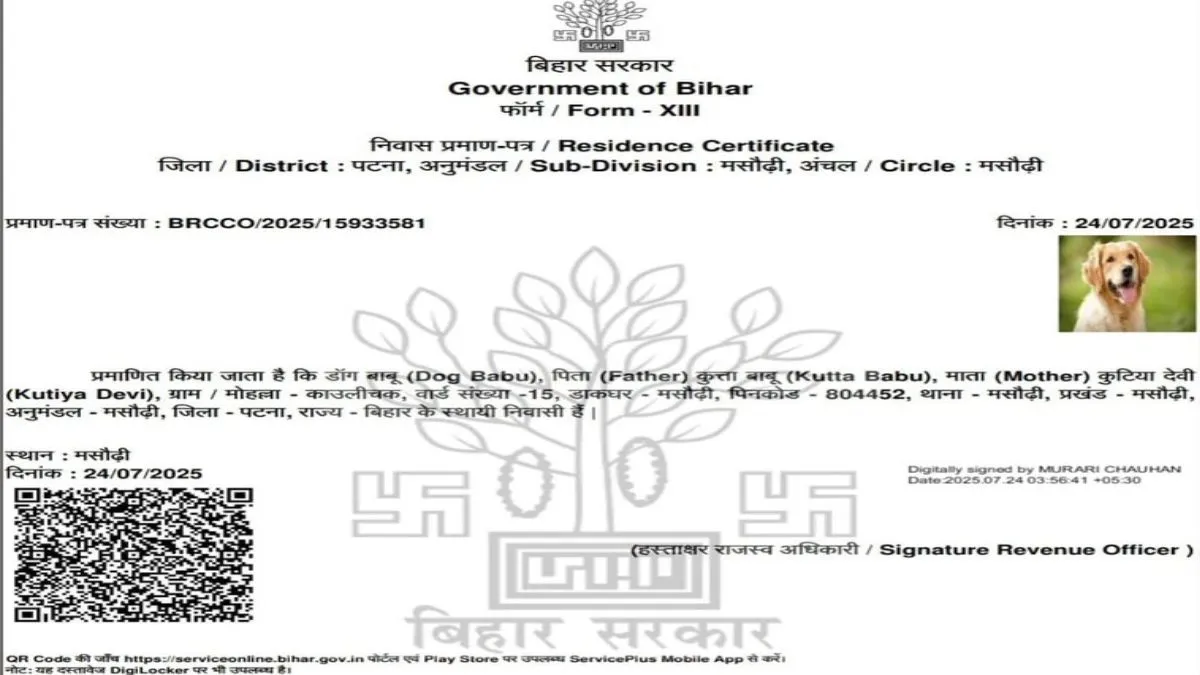 ऐसा सिर्फ बिहार में ही हो सकता है! कुत्ते को दिया उसका निवास प्रमाण पत्र, फोटो हुई वायरल