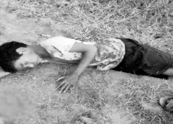 Bilaspur Chakubaji News