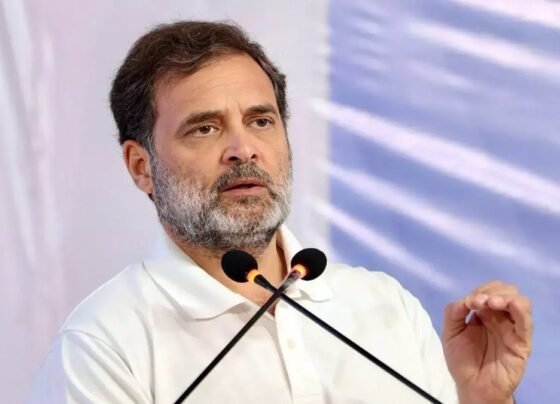 EC Statement On Rahul Gandhi Statement