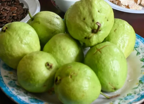 Benefits of Eating Guava