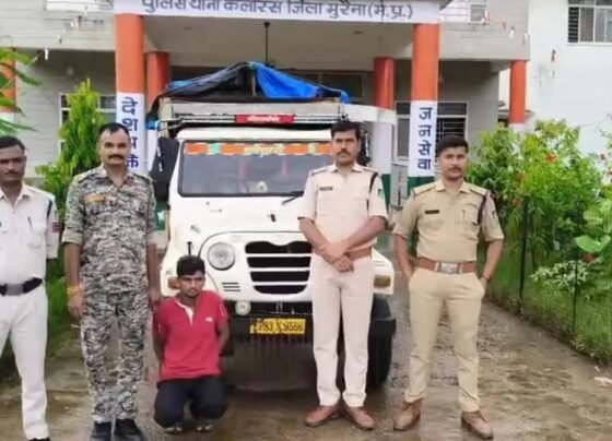 MP Crime News