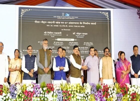 MP Longest Flyover
