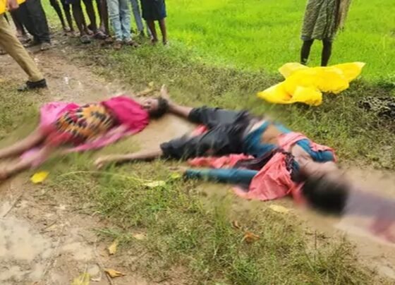 Mahasamund News Today