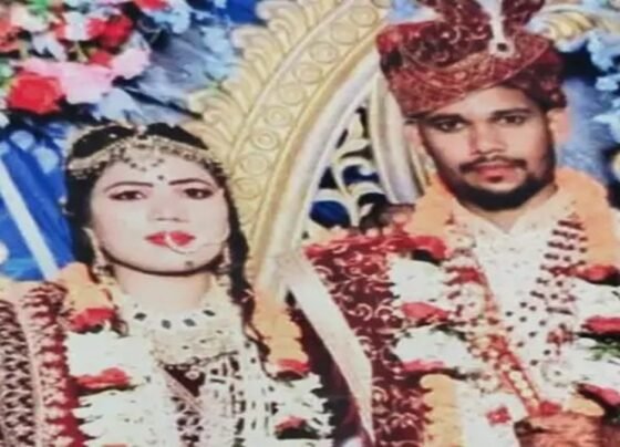 Newly Married Woman Committed Suicide in Raipur