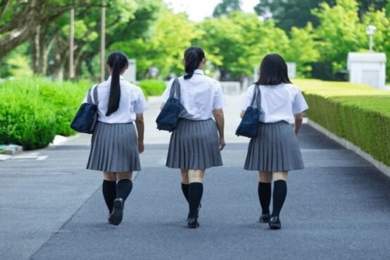 Police Action on Schools Girl Harassment