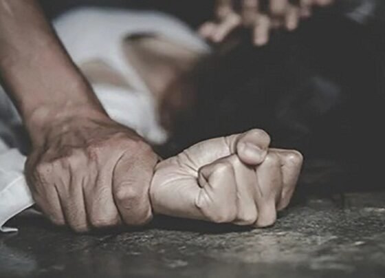 Janjgir-Champa Gang Rape Case