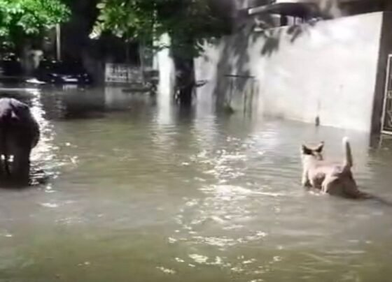 Waterlogging Due Rain in Durg