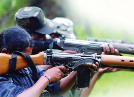 Chhattisgarh Naxalites News