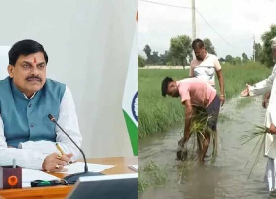 CG Flood Relief News