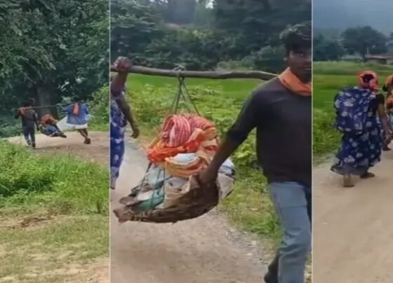 Chhattisgarh Health System