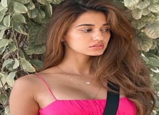 Disha Patani Father House Firing
